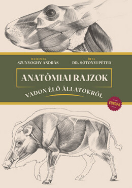 Anatómiai Rajzok Vadon Élő Állatokról - Európa