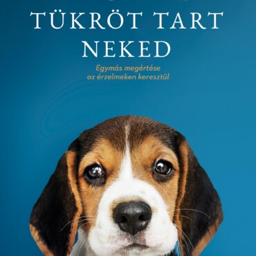 A Kutyád Tükröt Tart Neked