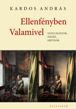 Ellenfényben Valamivel - Tanulmányok, Esszék, Kritikák