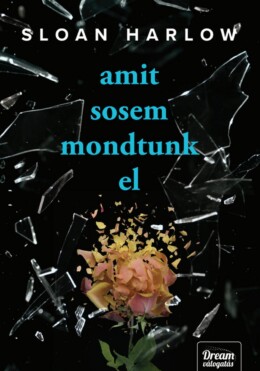 Amit Sosem Mondtunk El