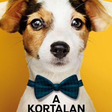 A Kortalan Kutya - A Hosszú És Egészséges Kutyaélet Titkai