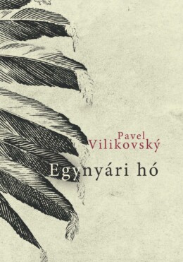 Egynyári Hó