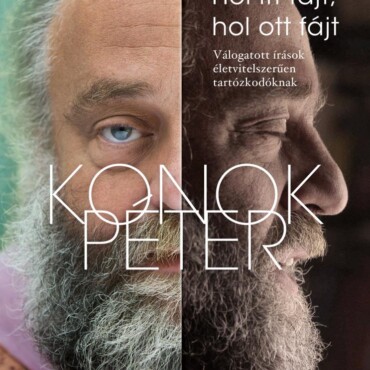 Hol Itt Fájt, Hol Ott Fájt - Válogatott Írások Életvitelszerűen Tartózkodóknak