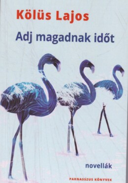 Adj Magadnak Időt