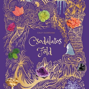 Csodálatos Föld - Élfestett
