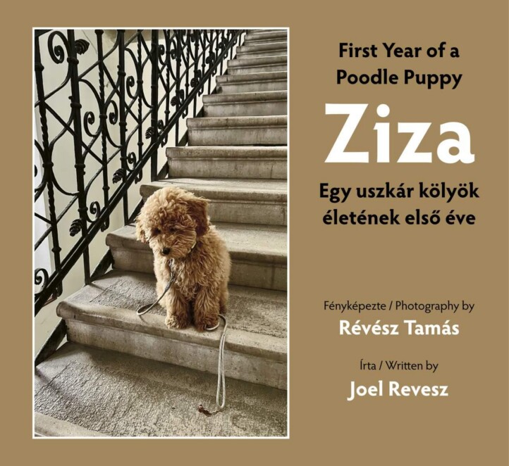 Ziza - Egy Uszkár Kölyök Életének Első Éve