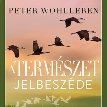 A Természet Jelbeszéde