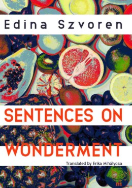 Sentences On Wonderment