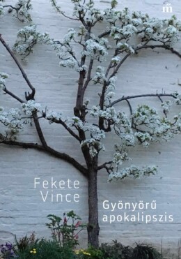 Gyönyörű Apokalipszis