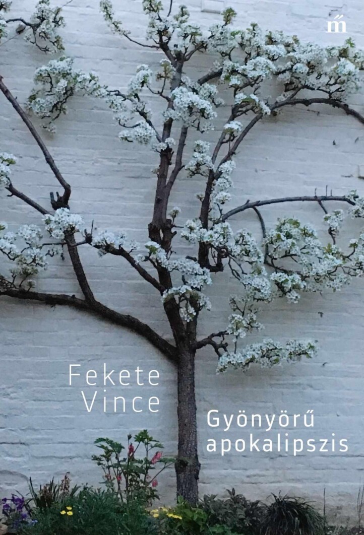 Gyönyörű Apokalipszis