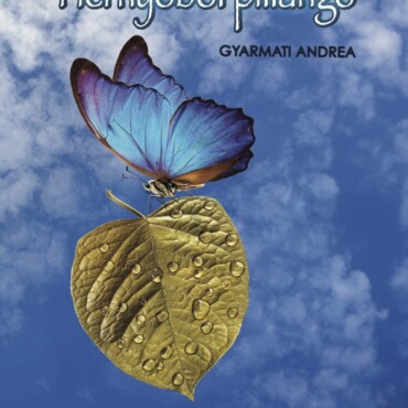 Hernyóból Pillangó