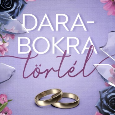 Darabokra Törtél - Élfestett