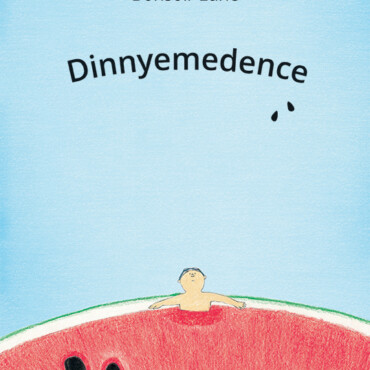 Dinnyemedence