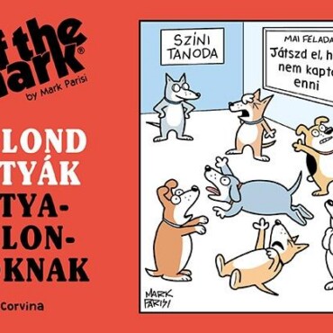 Bolond Kutyák Kutyabolondoknak