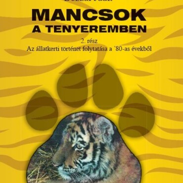 Mancsok A Tenyeremben 2.