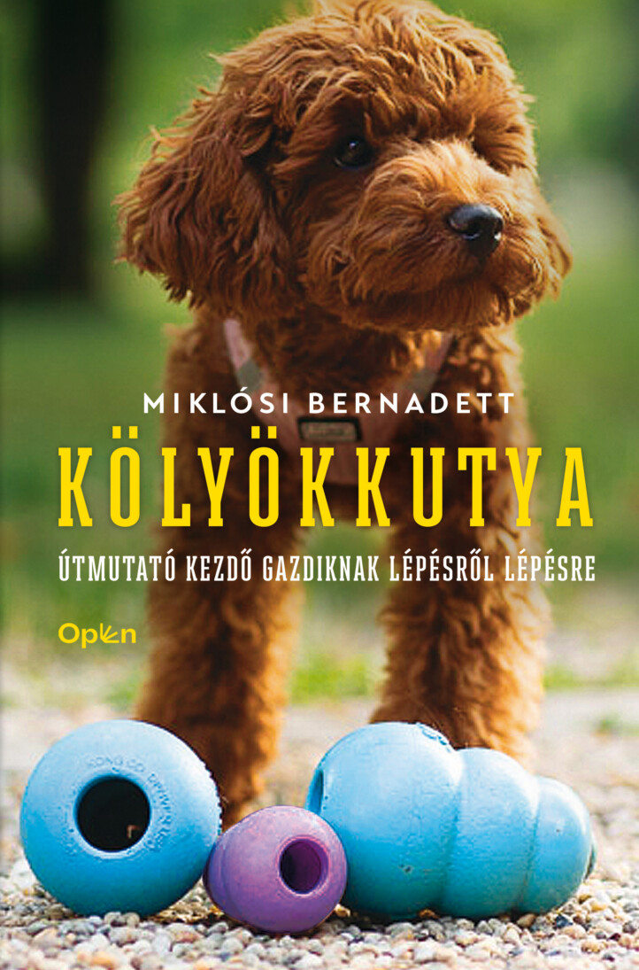 Kölyökkutya - Útmutató Kezdő Gazdiknak Lépésről Lépésre