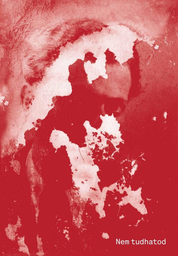 Nem Tudhatod (Egy Tarkólövés Meghamisítása)