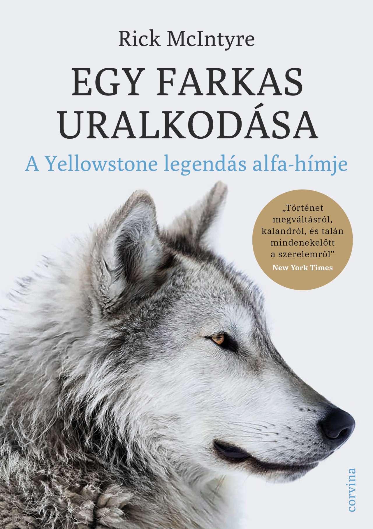 Egy Farkas Uralkodása - A Yellowstone Legendás Alfahímje