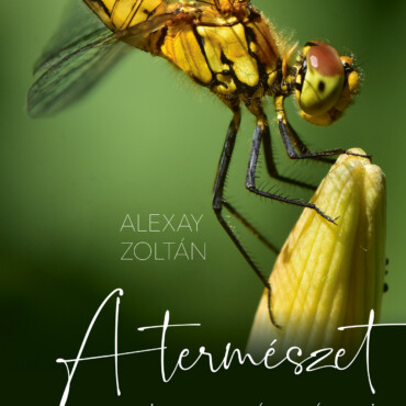 A Természet Rejtett Szépségei