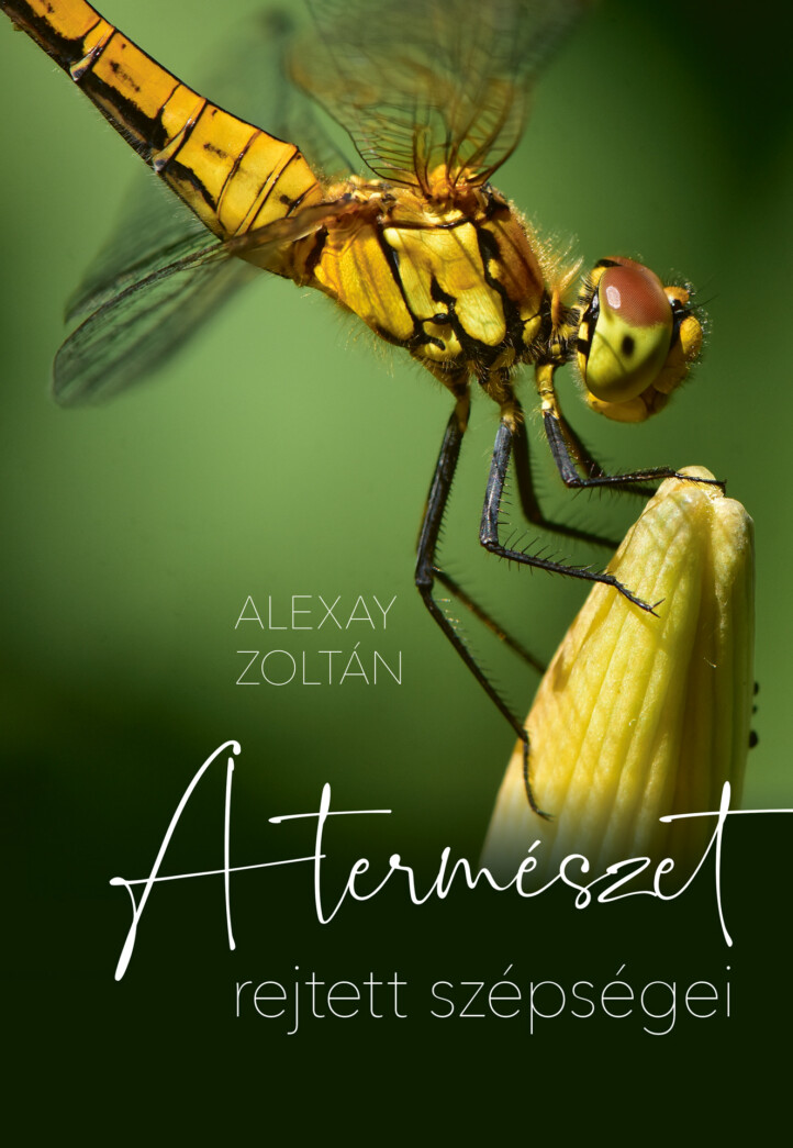 A Természet Rejtett Szépségei