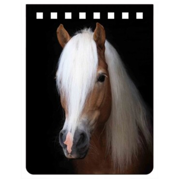 Haflinger Notebook A7