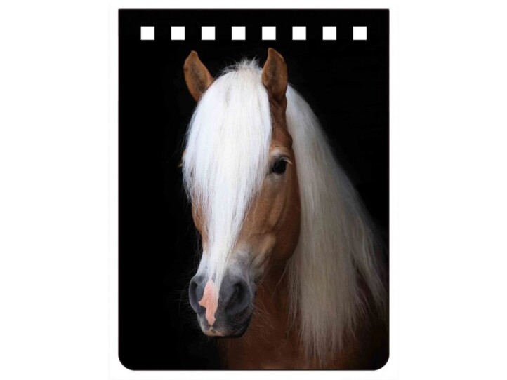 Haflinger Notebook A7