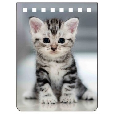 Shorthair Notebook A7