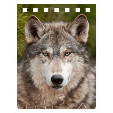 Wolf Notebook A7