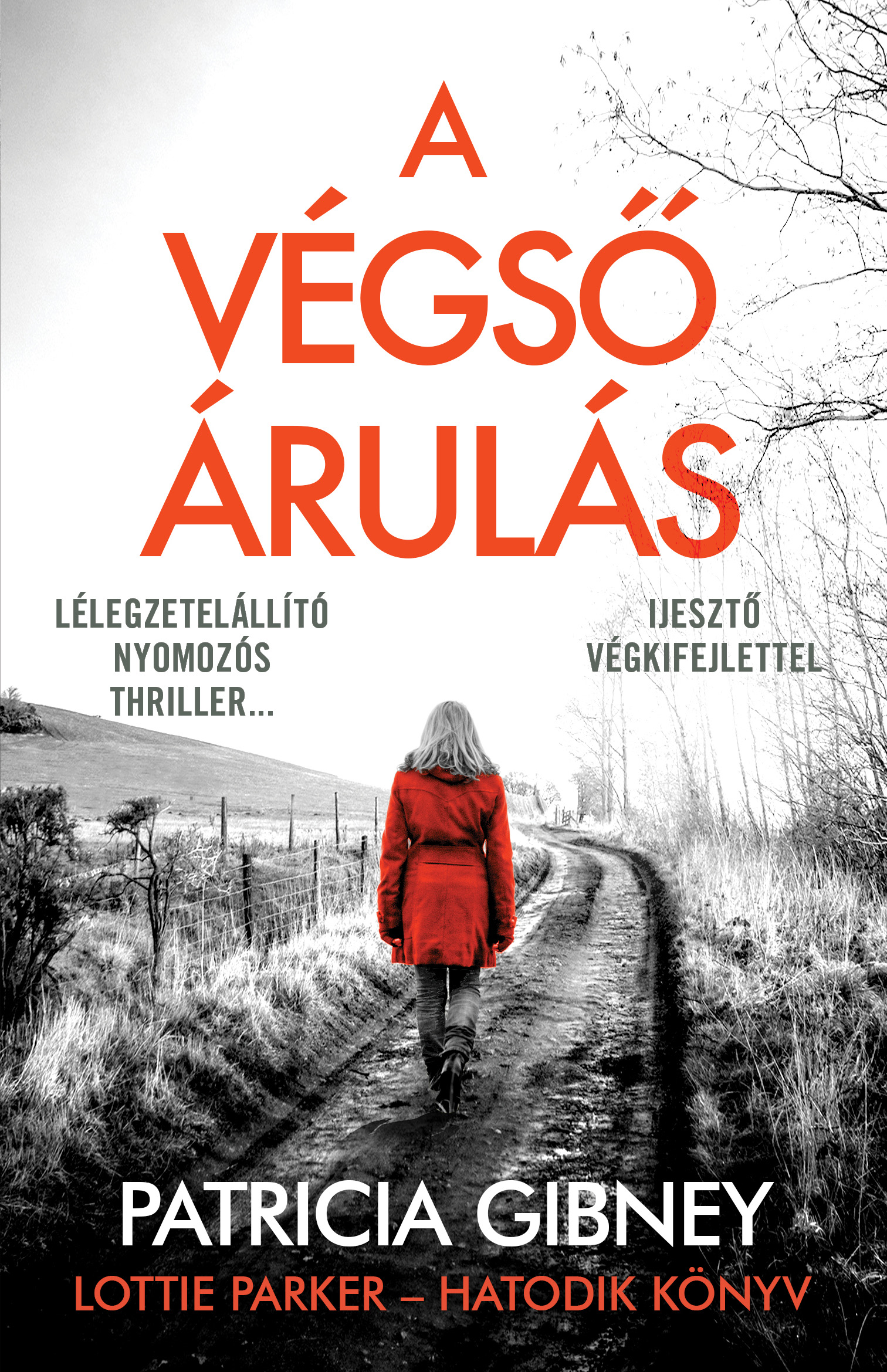 A Végső Árulás - Lottie Parker 6.