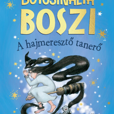 Botcsinálta Boszi - A Hajmeresztő Tanerő