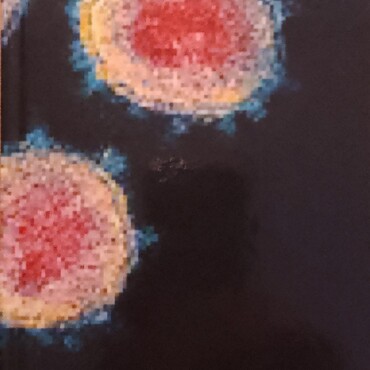 Covid-19 // Tuti Casa