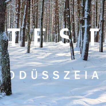 Testodüsszeia