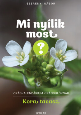 Mi Nyílik Most? - Kora Tavasz (Virágkalendárium Kirándulóknak)