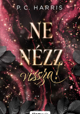 Ne Nézz Vissza! - Élfestett