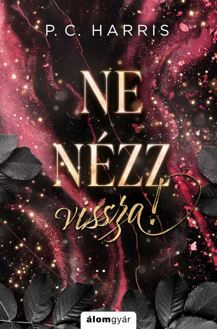 Ne Nézz Vissza! - Élfestett