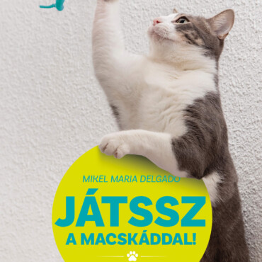 Játssz A Macskáddal!