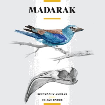 Madarak