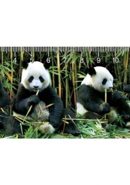 Deep Pandas
