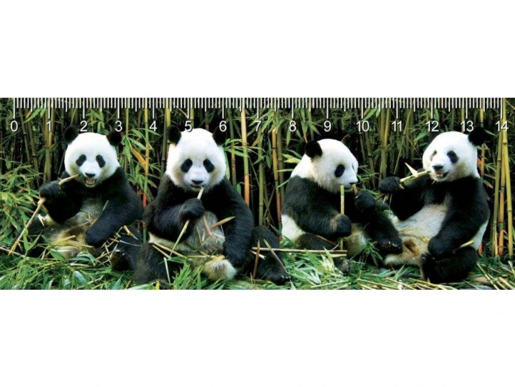 Deep Pandas