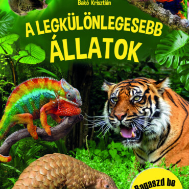 A Legkülönlegesebb Állatok - Tudod-E?