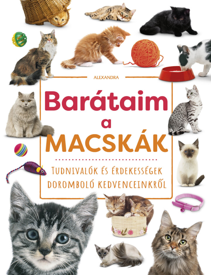 Barátaim, A Macskák