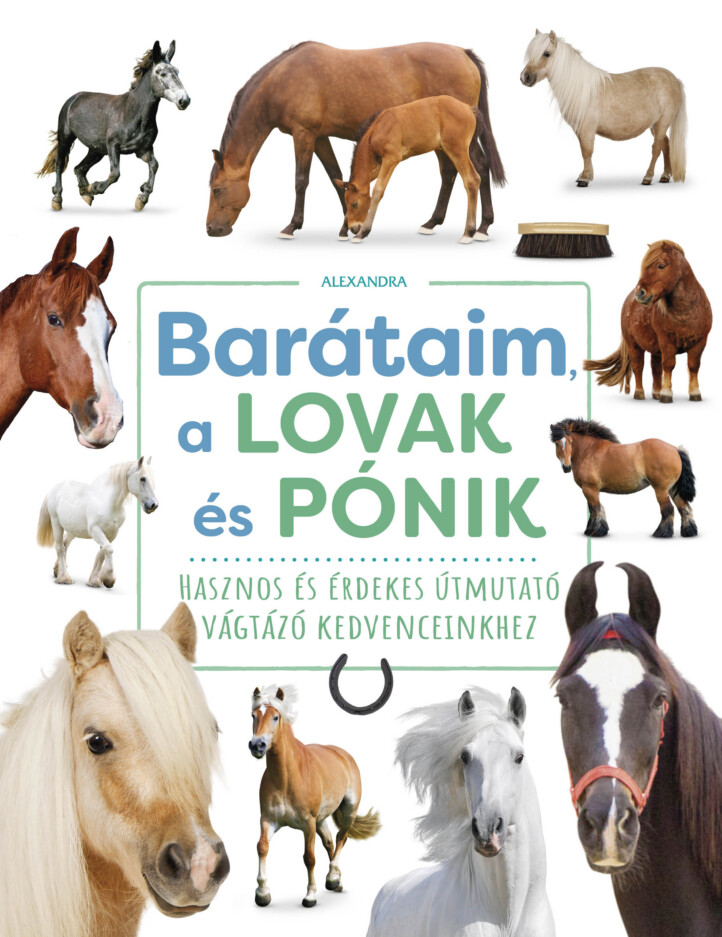 Barátaim, A Lovak És Pónik