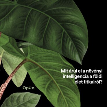 Fényevők - Mit Árul El A Növényi Intelligencia A Földi Élet Titkairól?