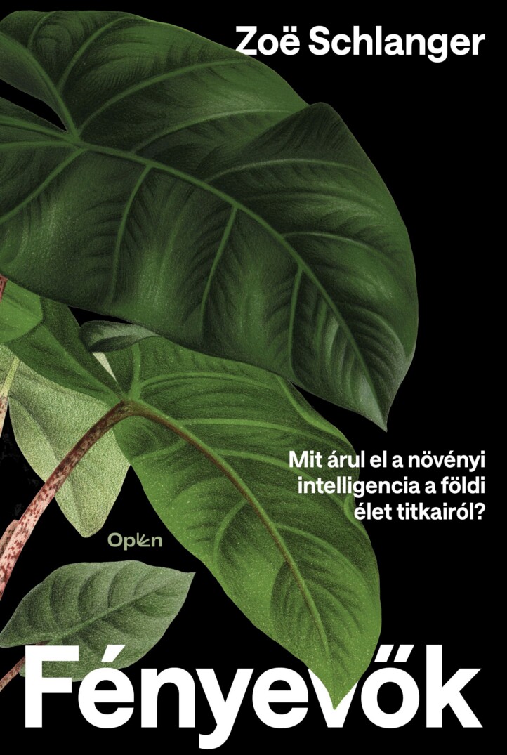 Fényevők - Mit Árul El A Növényi Intelligencia A Földi Élet Titkairól?
