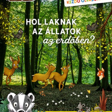 Hol Laknak Az Állatok Az Erdőben?