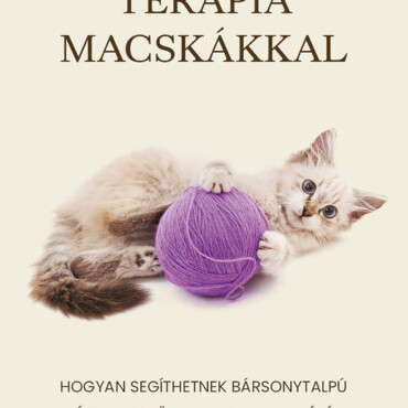 Terápia Macskákkal