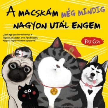 A Macskám Még Mindig Nagyon Utál Engem