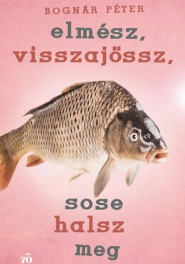 Elmész, Visszajössz, Sose Halsz Meg