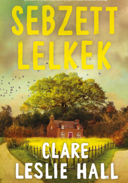 Sebzett Lelkek