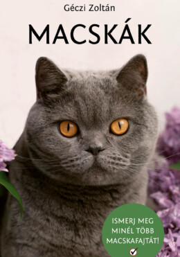 Macskák - Ismerj Meg Minél Több Macskafajtát!